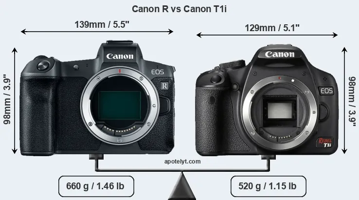 Size Canon R vs Canon T1i