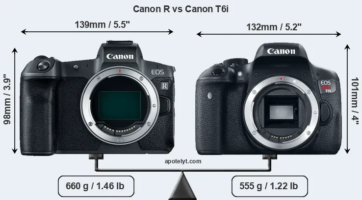 Size Canon R vs Canon T6i