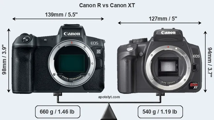 Size Canon R vs Canon XT