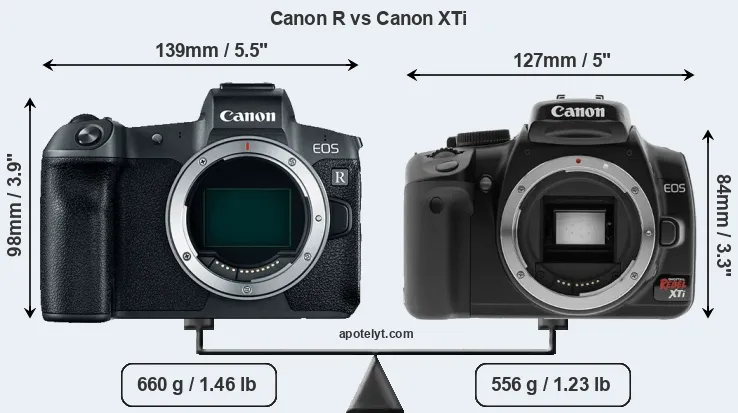 Size Canon R vs Canon XTi