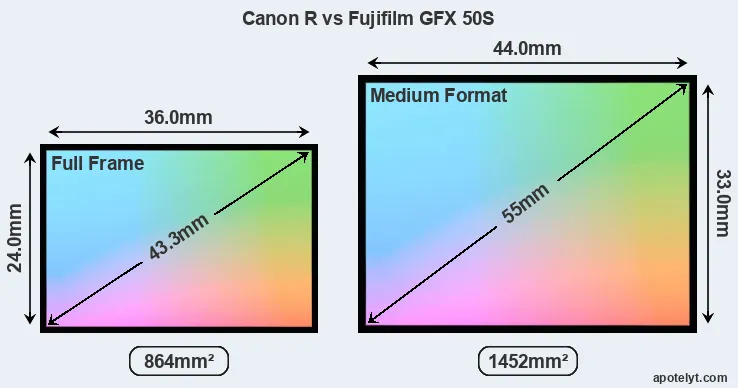 Canon R and Fujifilm GFX 50S sensor measures