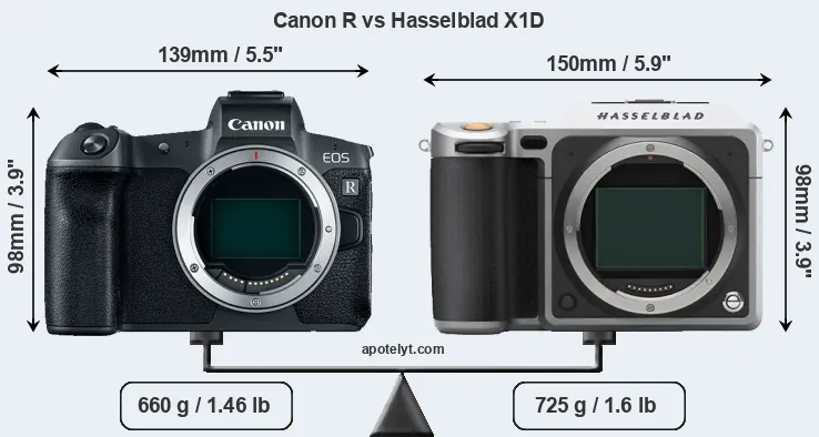 Size Canon R vs Hasselblad X1D