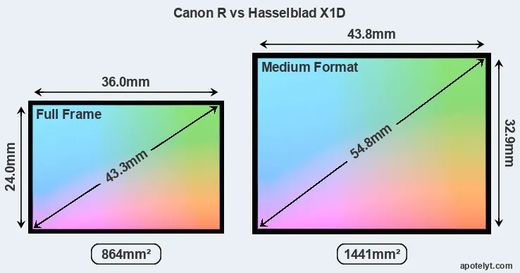 Canon R and Hasselblad X1D sensor measures