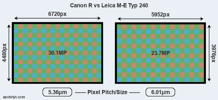 Canon R versus M-E Typ 240 MP