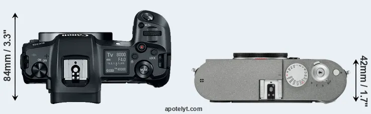 Compare Canon R versus M-E Typ 240 top