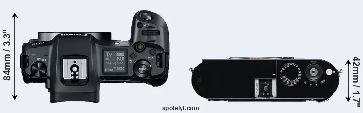 Compare Canon R versus M Typ 240 top