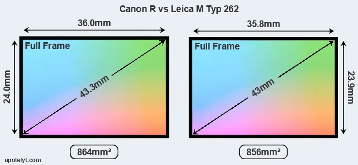 Canon R and Leica M Typ 262 sensor measures