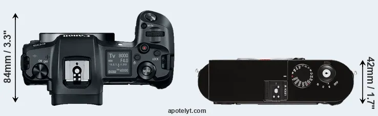 Compare Canon R versus M Typ 262 top