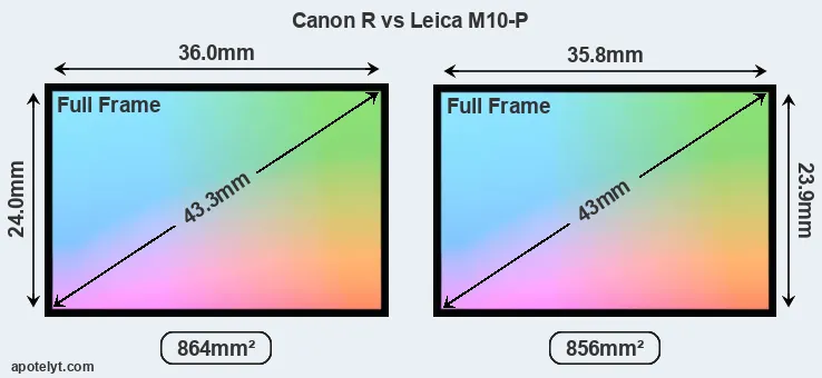 Canon R and Leica M10-P sensor measures