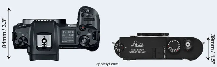 Compare Canon R versus M10-P top