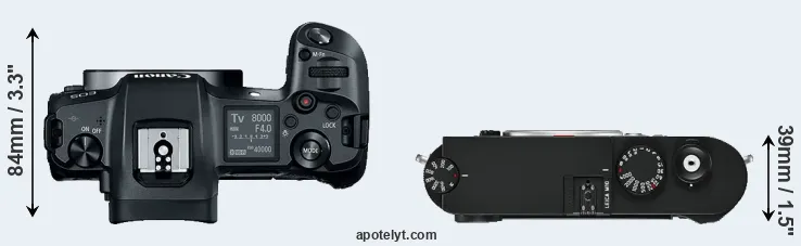 Compare Canon R versus M10 top