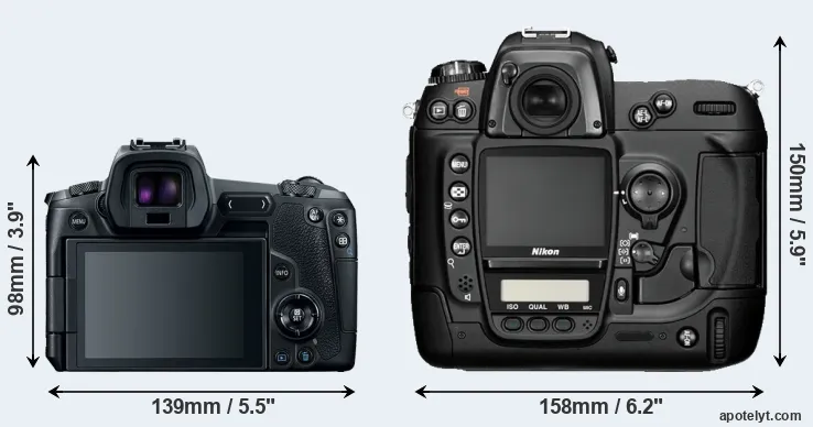 Comparison Canon R or D2H rear