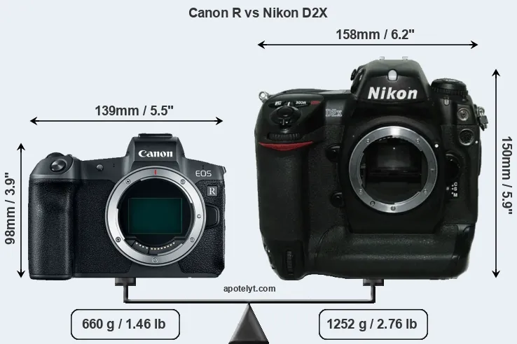 Size Canon R vs Nikon D2X