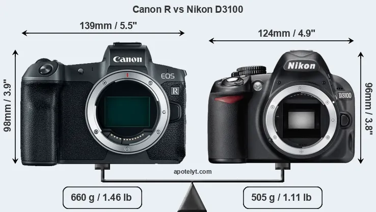 Size Canon R vs Nikon D3100