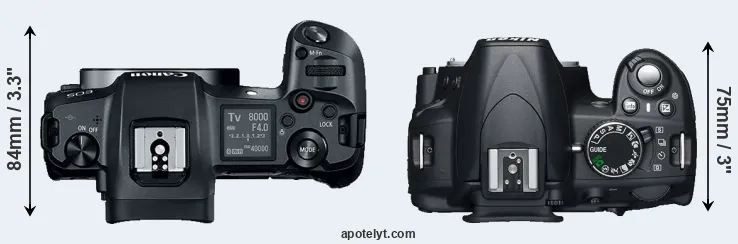 Compare Canon R versus D3100 top