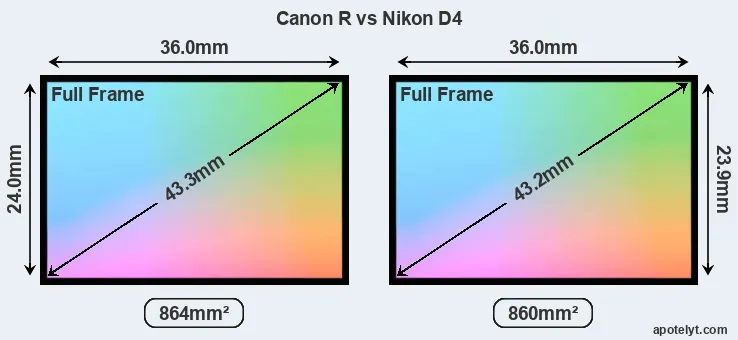 Canon R and Nikon D4 sensor measures
