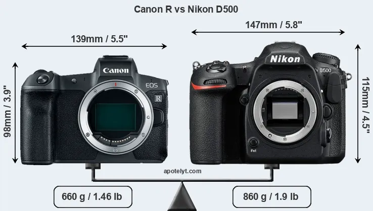 Size Canon R vs Nikon D500
