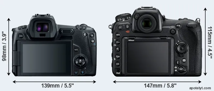 Comparison Canon R or D500 rear
