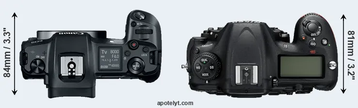 Compare Canon R versus D500 top