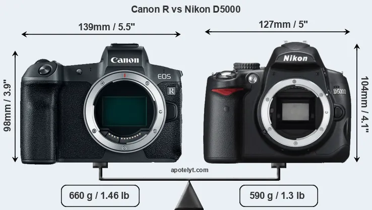 Size Canon R vs Nikon D5000