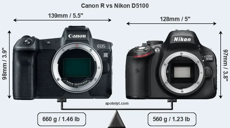Size Canon R vs Nikon D5100