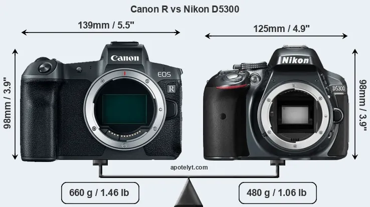 Size Canon R vs Nikon D5300