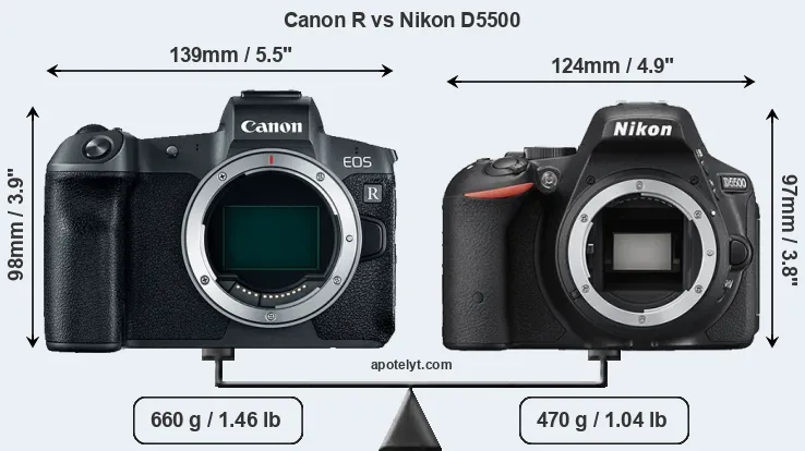 Size Canon R vs Nikon D5500