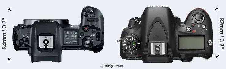 Compare Canon R versus D600 top