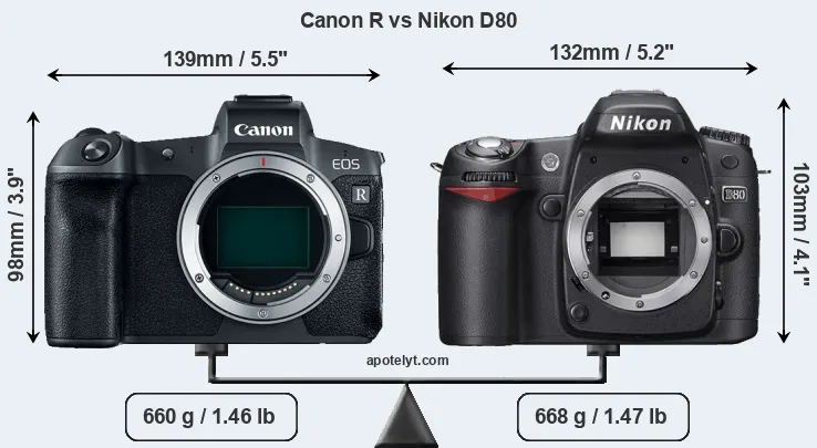 Size Canon R vs Nikon D80
