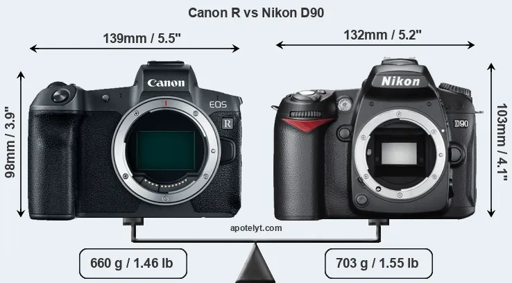 Size Canon R vs Nikon D90