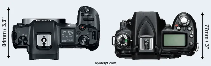 Compare Canon R versus D90 top