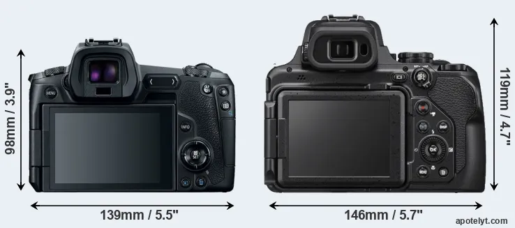 Comparison Canon R or P1000 rear