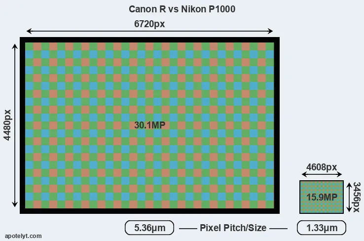 Canon R versus P1000 MP