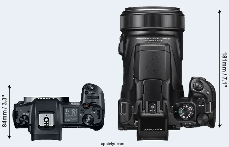 Compare Canon R versus P1000 top