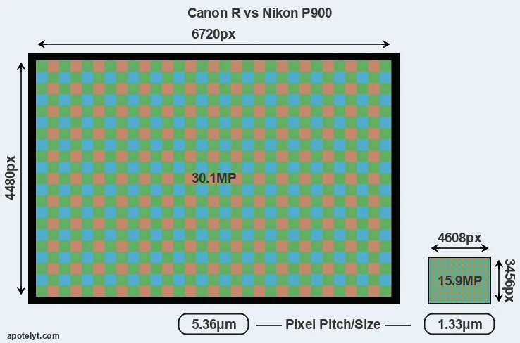 Canon R versus P900 MP