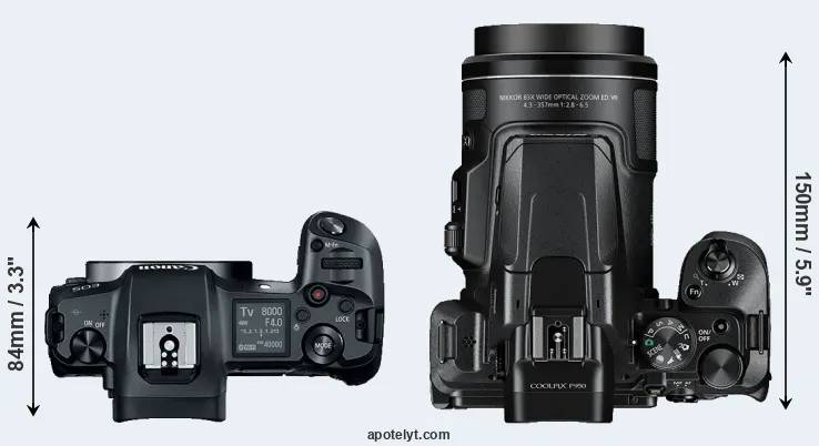 Compare Canon R versus P950 top