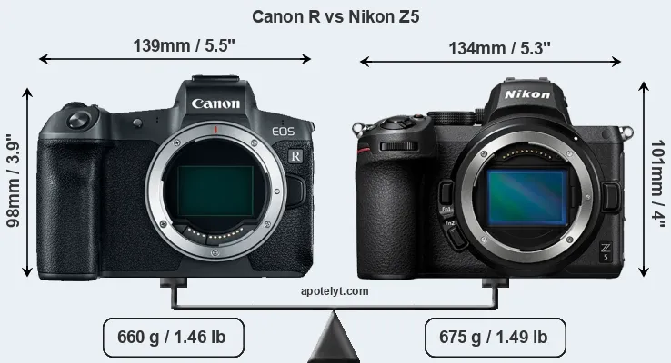 Size Canon R vs Nikon Z5