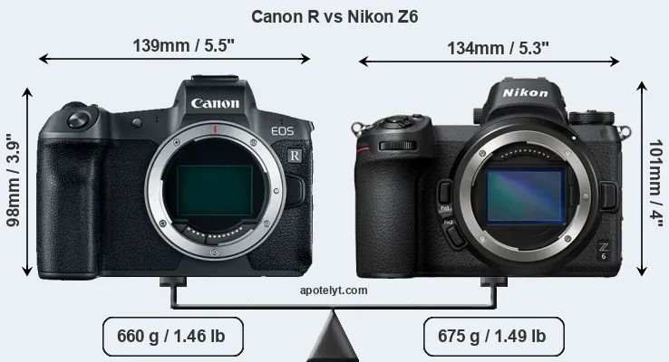 Size Canon R vs Nikon Z6