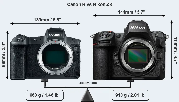 Size Canon R vs Nikon Z8
