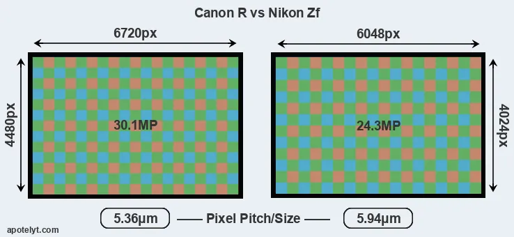 Canon R versus Zf MP