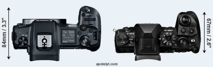 Compare Canon R versus E-M1 II top