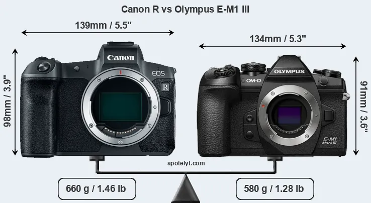 Size Canon R vs Olympus E-M1 III