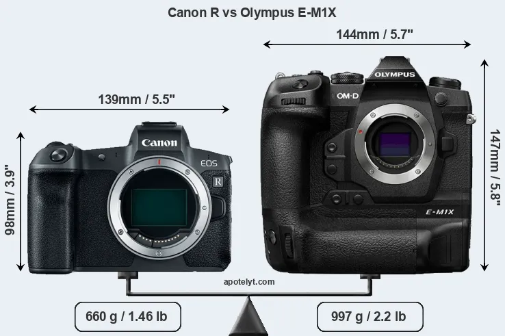 Size Canon R vs Olympus E-M1X