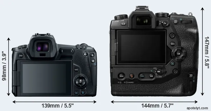 Comparison Canon R or E-M1X rear