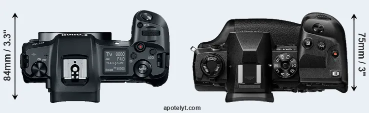 Compare Canon R versus E-M1X top