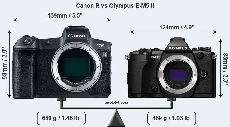 Size Canon R vs Olympus E-M5 II