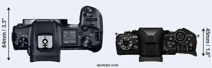 Compare Canon R versus E-M5 II top
