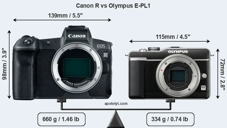Size Canon R vs Olympus E-PL1
