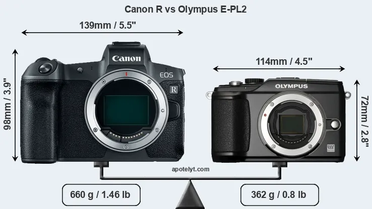 Size Canon R vs Olympus E-PL2