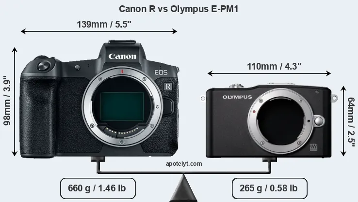 Size Canon R vs Olympus E-PM1